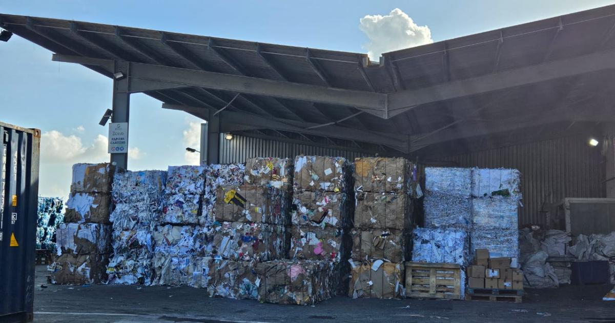     Martinique Recyclage réceptionne à nouveau les emballages

