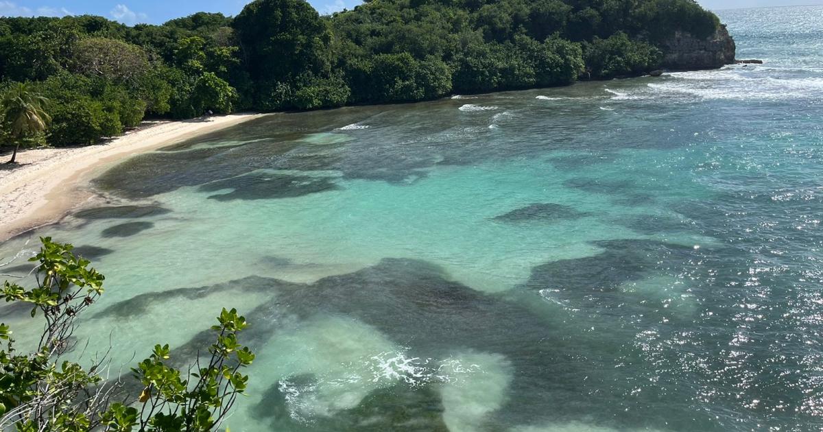     Près de 100 kilos de drogue débarqués sur une plage du Gosier : 5 suspects arrêtés

