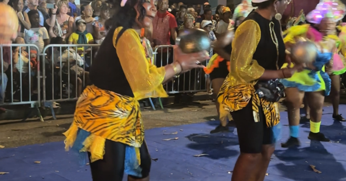     Le Carnaval a fait escale à Dillon !

