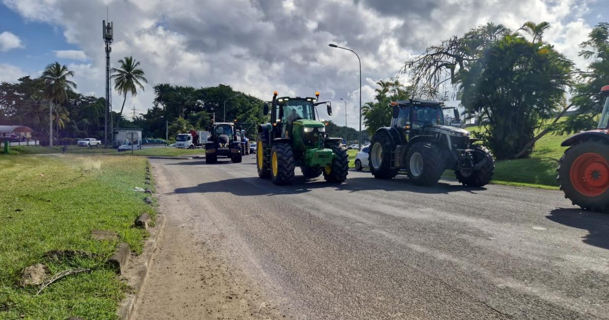     Opération escargot des planteurs de canne en Guadeloupe

