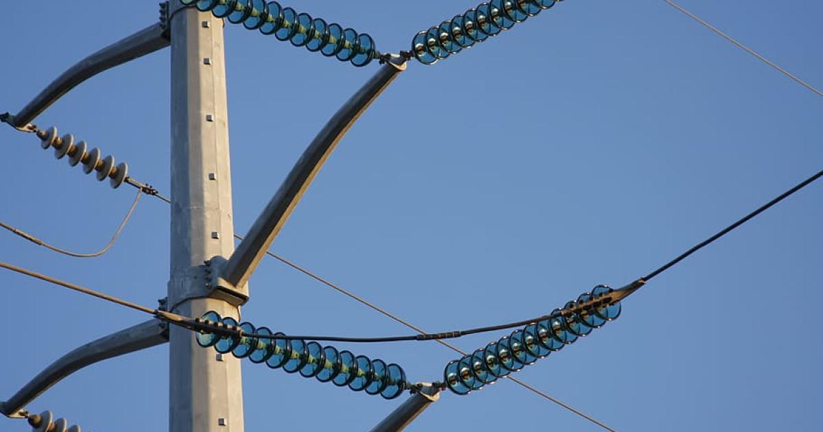     Un arbre et des câbles haute tension sur la route à Bouillante

