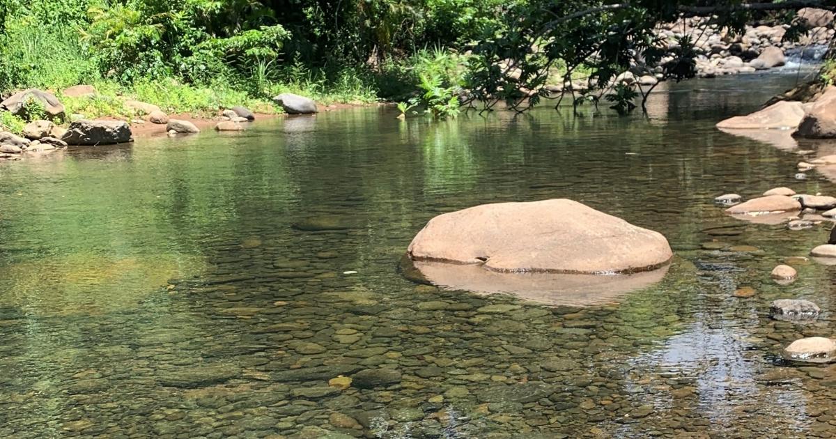     Un homme de 67 ans se noie à Pointe-Noire

