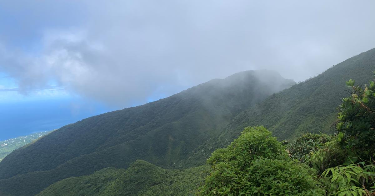     Un touriste de 65 ans secouru par des gendarmes sur la Soufrière

