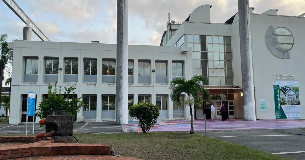     L’Université des Antilles met le Crous face à ses responsabilités

