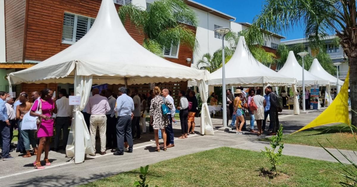     Lancement de la semaine des métiers du tourisme à l'URMA

