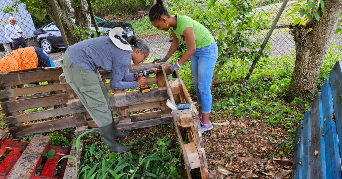     « Ecole ouverte » : un jardin réalisé au lycée Félix Proto aux Abymes

