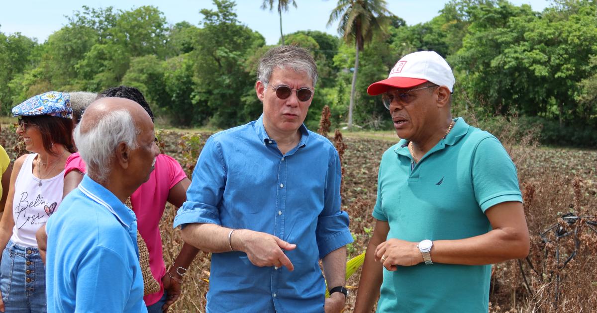     Olivier Faure, Premier secrétaire national du Parti socialiste, en visite en Guadeloupe

