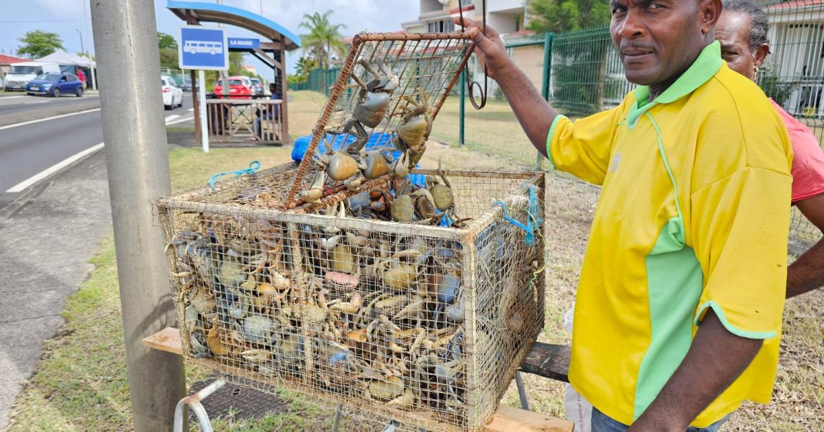     Pentecôte : le crabe sera à l’honneur sur les tables de fête

