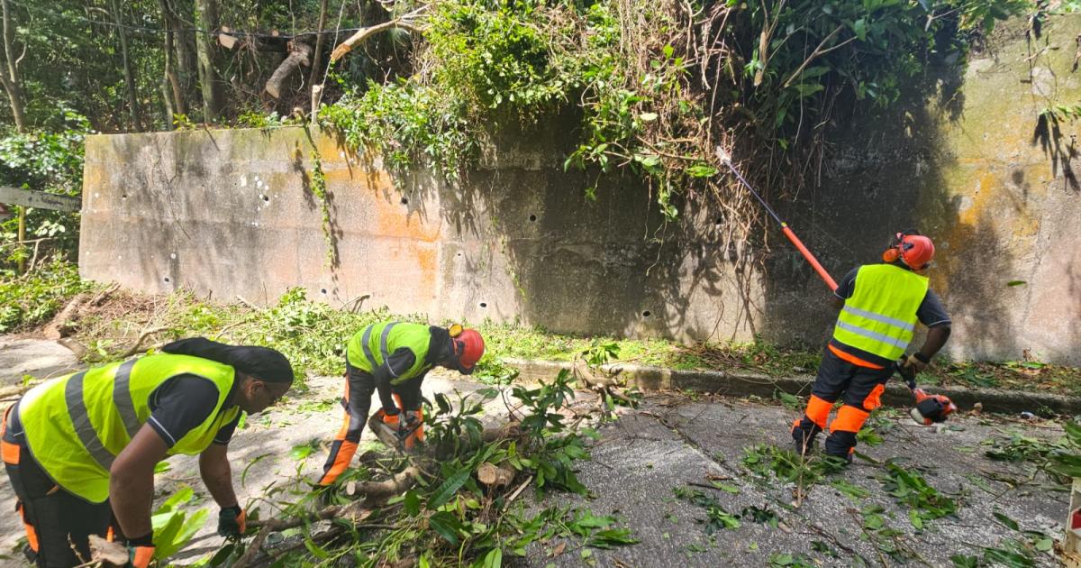     Saison cyclonique : les opérations d’élagage s’accélèrent dans les communes

