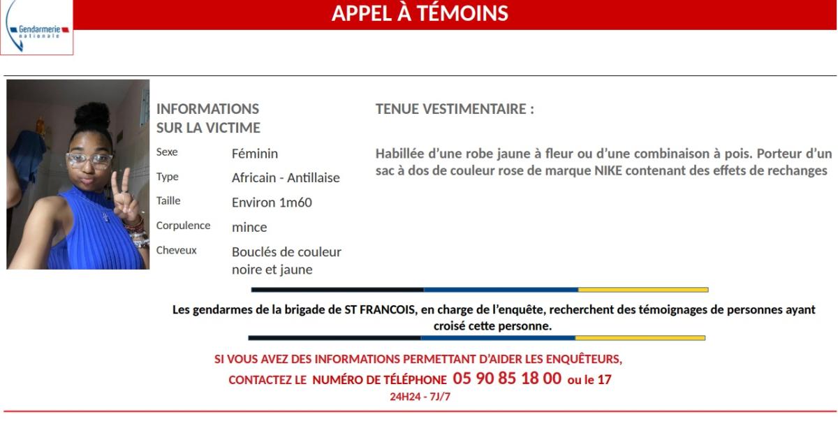     Appel à témoins : avez-vous vu Loëcha âgée de 15 ans ? 

