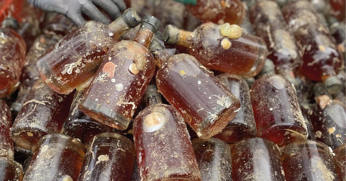     Après un an sous la mer, 700 bouteilles de rhum refont surface à Saint-Malo

