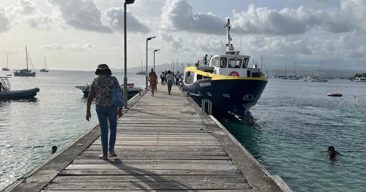     Grève des Vedettes tropicales : la colère des habitants des Trois-Îlets

