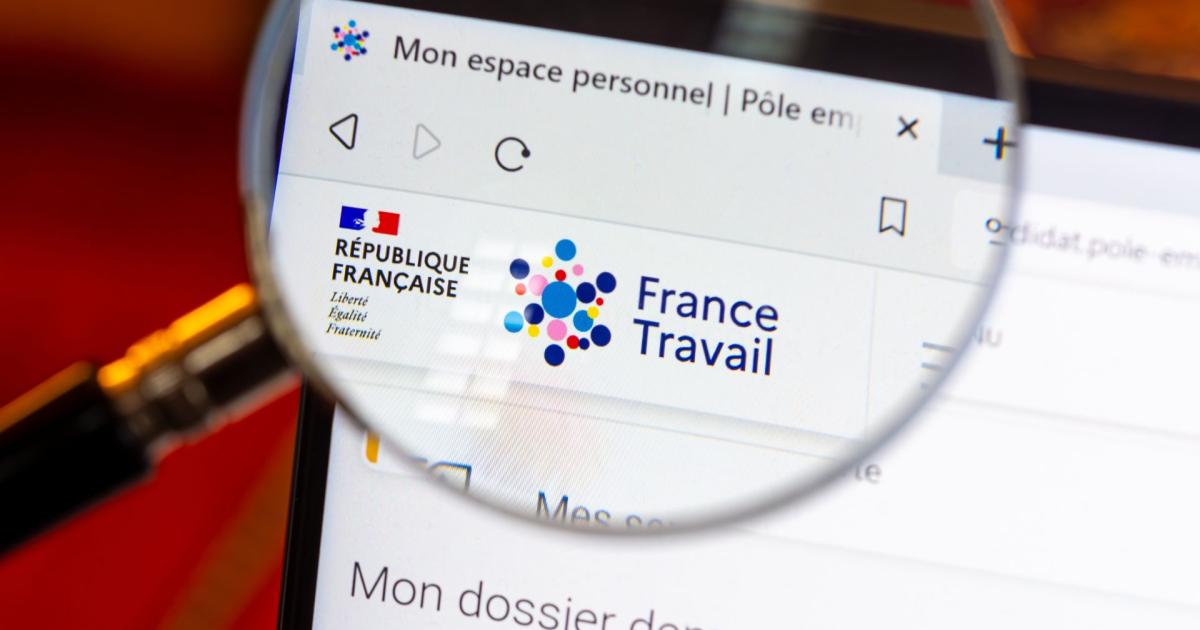     Le nombre de demandeurs d'emploi en baisse au deuxième trimestre 2024 en Guadeloupe

