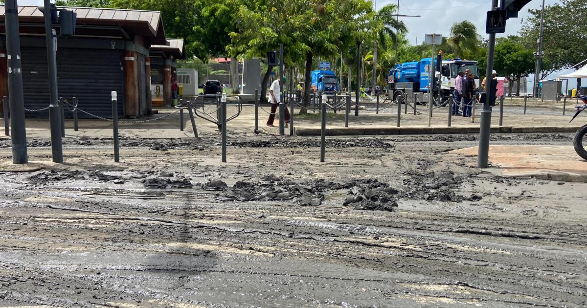     [VIDÉO] Fort-de-France : des commerces envahis par la vase après l'ouragan Béryl

