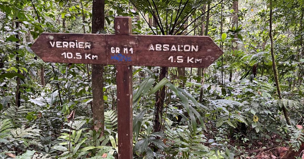     Un couple de randonneurs recherché au niveau d’Absalon 

