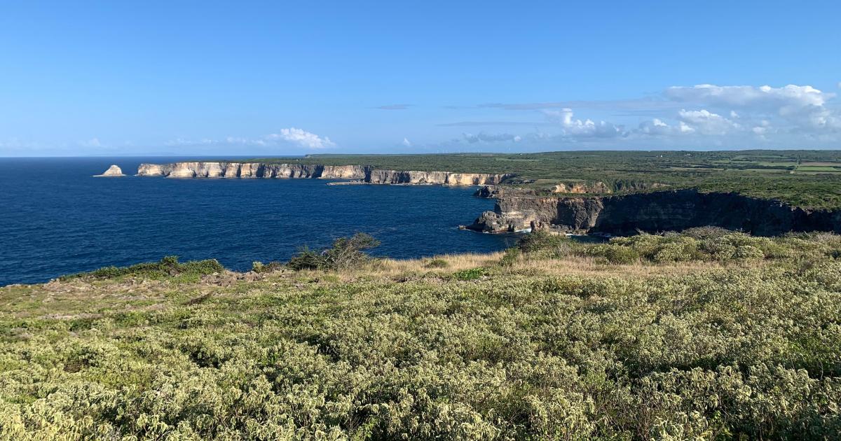     Un randonneur de 60 ans est décédé sur la trace du Grand Cul de Sac Marin, à Anse Bertrand

