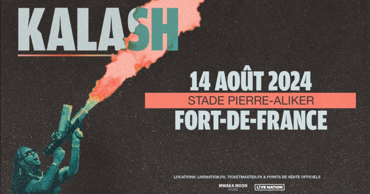     Autour du concert de Kalash, plus de 500 intervenants pour assurer la sécurité

