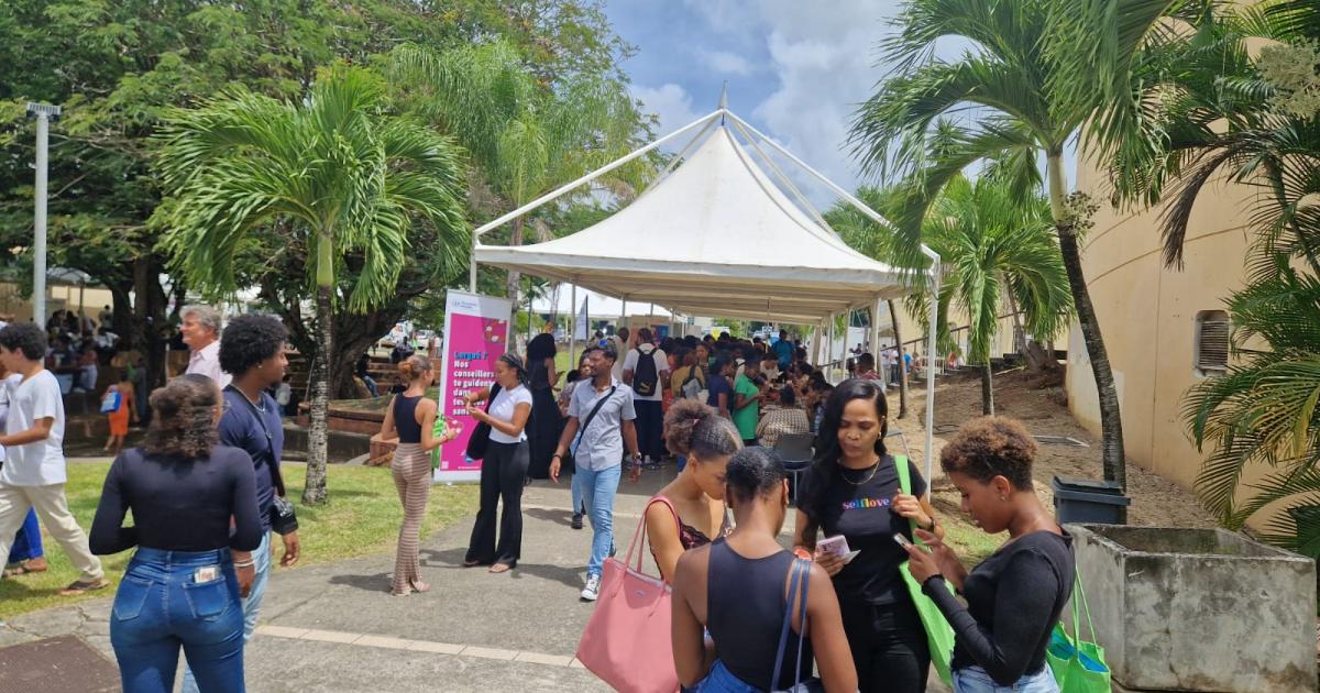     Dans une Martinique marquée par l'exode des jeunes, certains font le choix du retour

