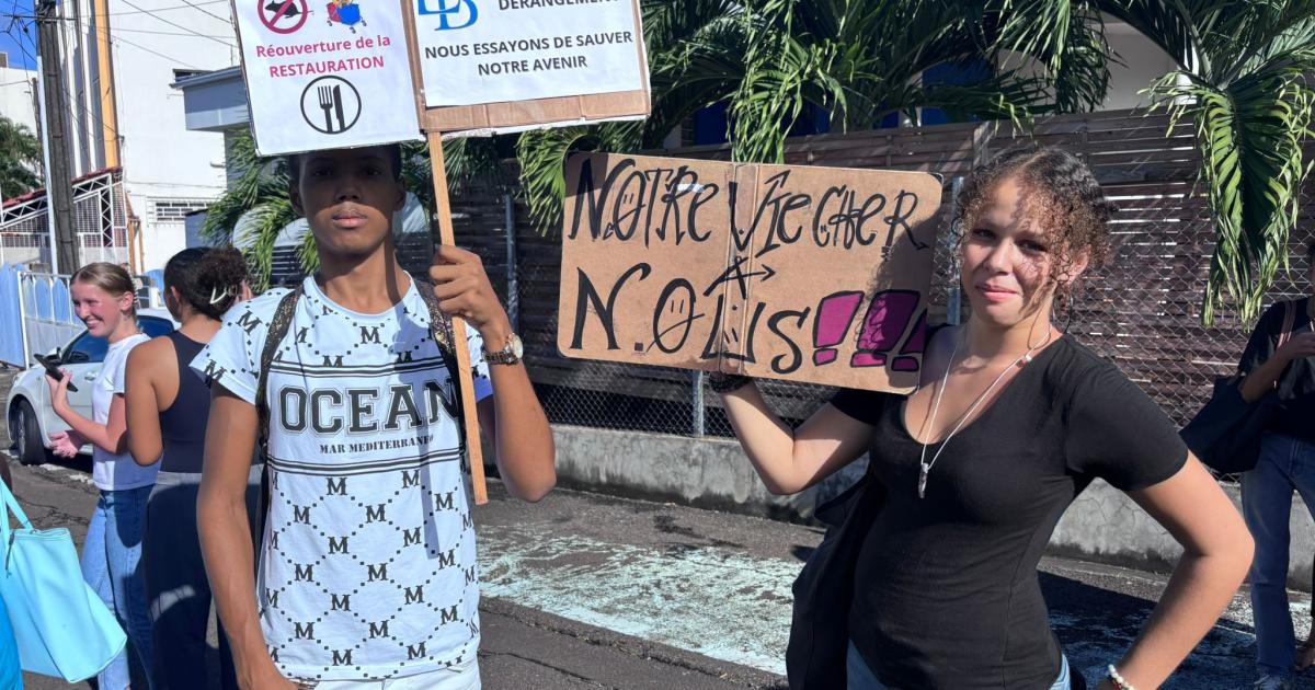     Absence de nettoyage et de cantine : les élèves du lycée Bellevue mobilisés 

