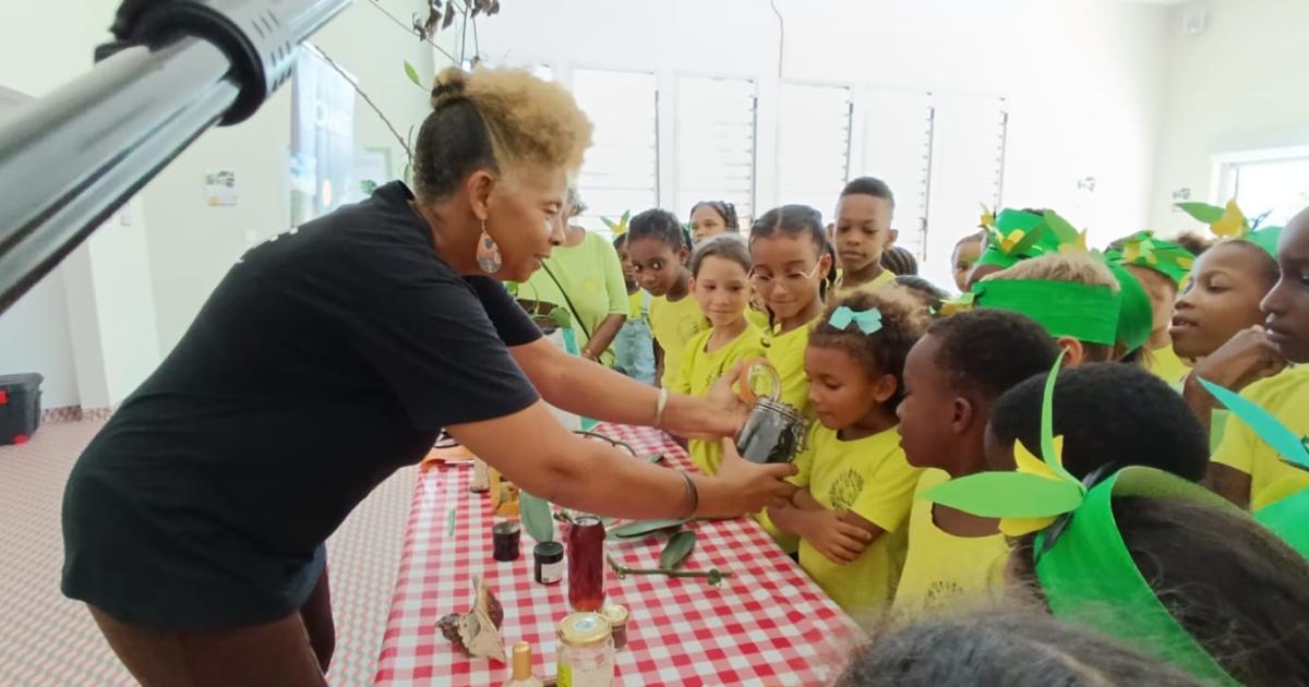     Les écoliers du Nord Basse-Terre à la découverte de la vanille

