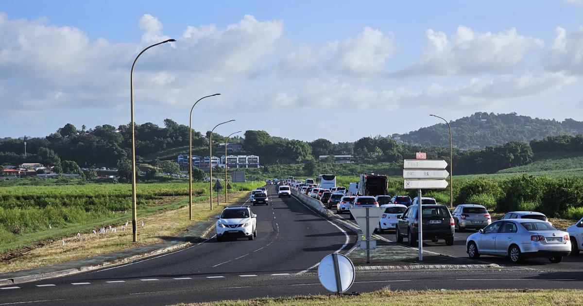     Opération « île morte » : le point sur la situation

