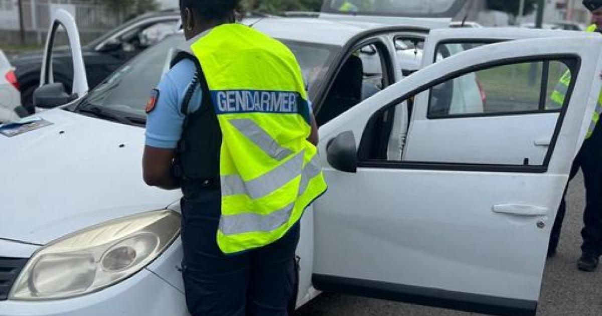     Contrôles routiers : 143 infractions relevées pendant le week-end de la Toussaint

