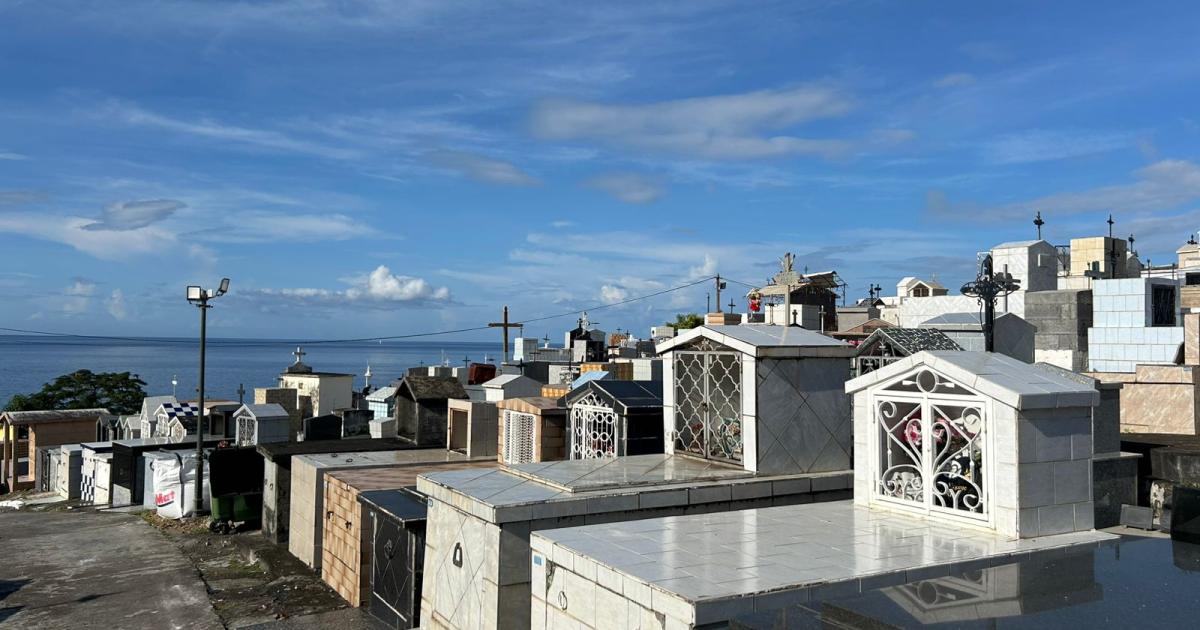     À Basse-Terre, le cimetière se refait une beauté à la Toussaint

