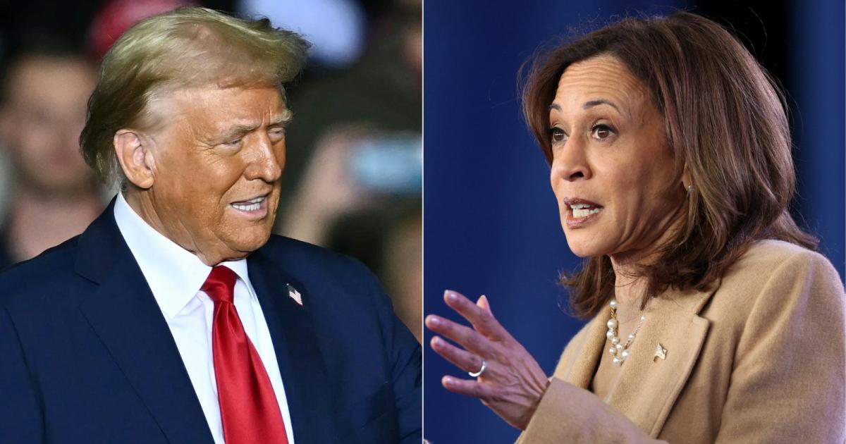     Harris ou Trump, l'Amérique à la veille d'un choix historique

