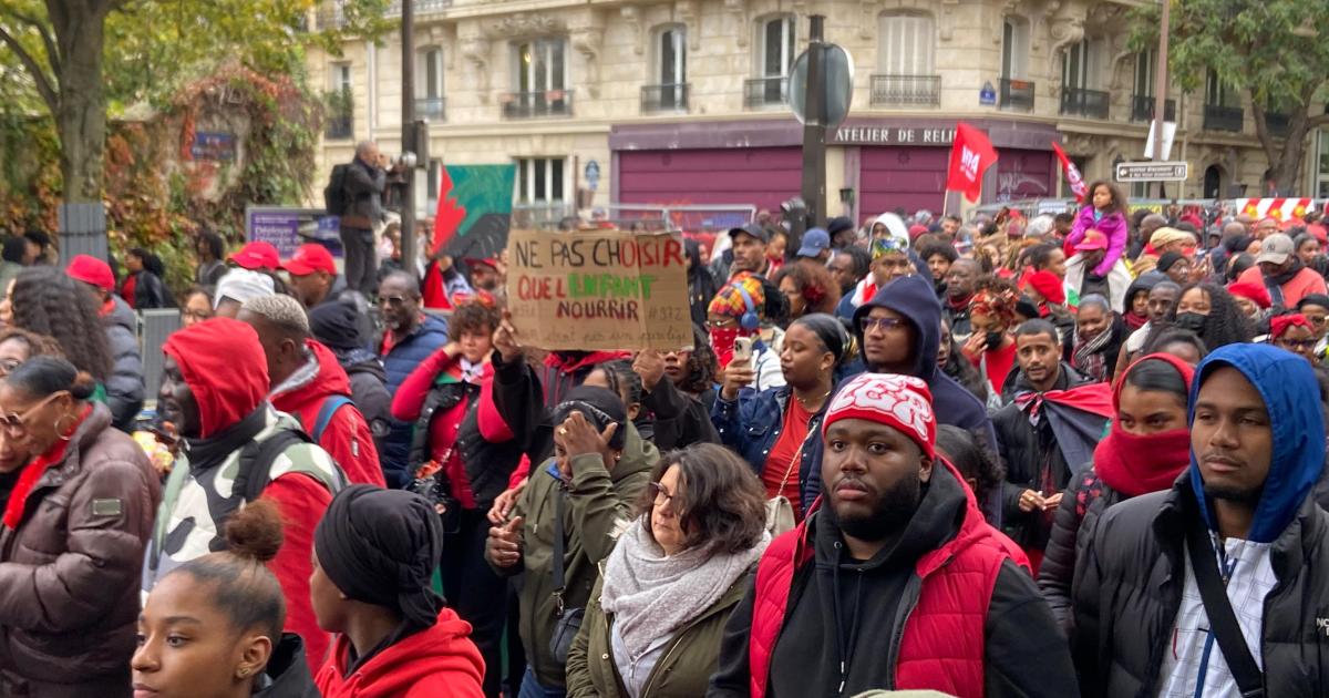     [EN IMAGES] Des milliers de manifestants à nouveau mobilisés à Paris contre la vie chère

