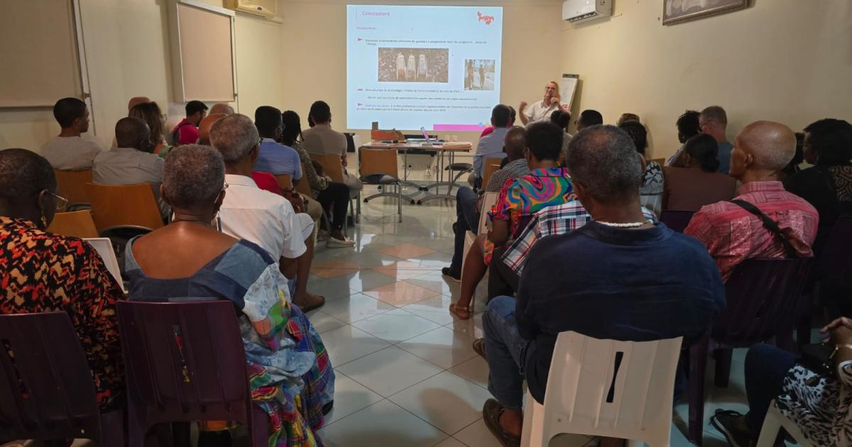     Vieux-Habitants : première commune de Guadeloupe à évaluer son Atlas de la Biodiversité 

