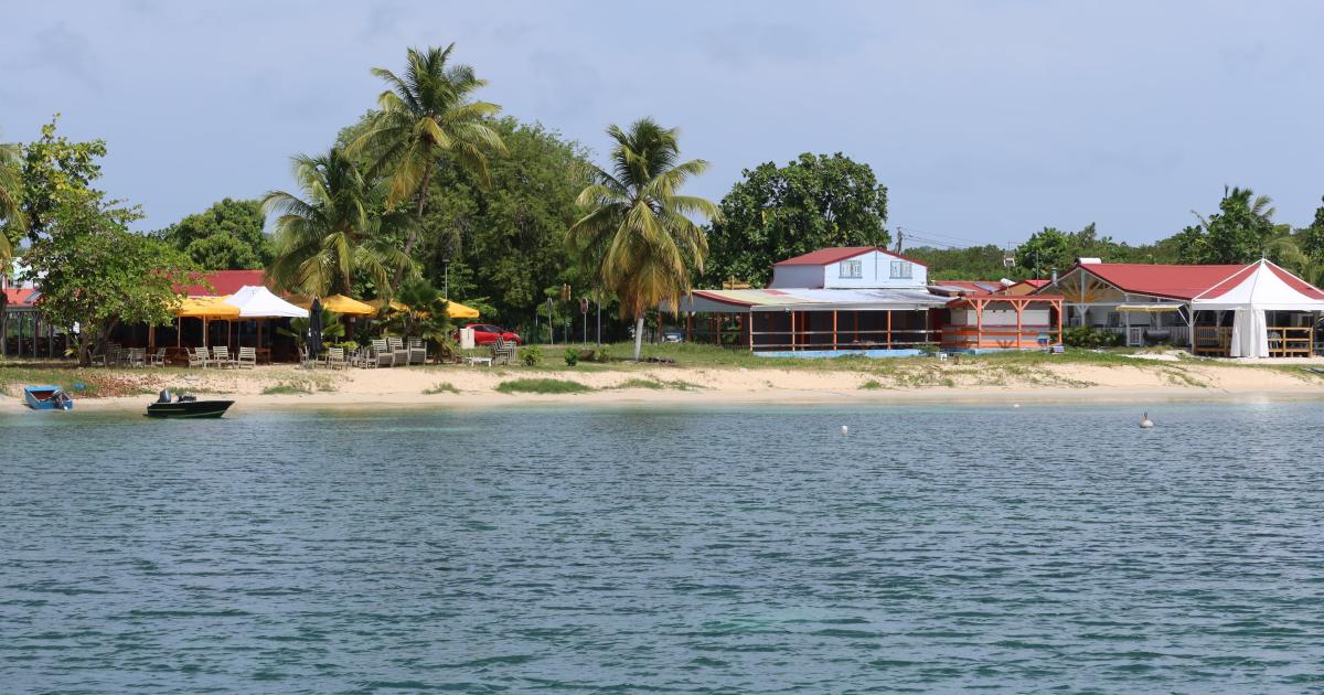    À Marie-Galante, les douanes opèrent une saisie record de cigarettes et d’alcool de contrebande

