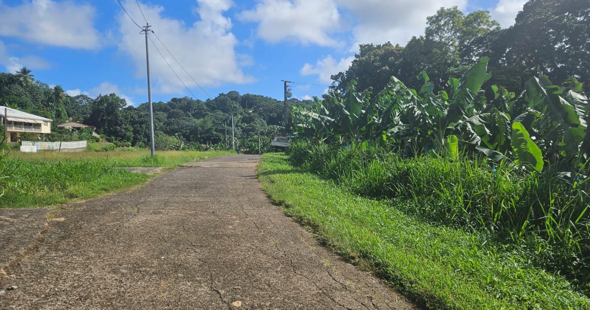     Martinique. Atteint d’autisme, il vivait enfermé dans un cachot depuis... 1992 

