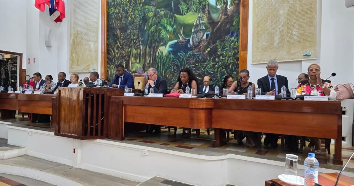     Séance de politique générale au conseil départemental et vote d'une aide à destination de Mayotte

