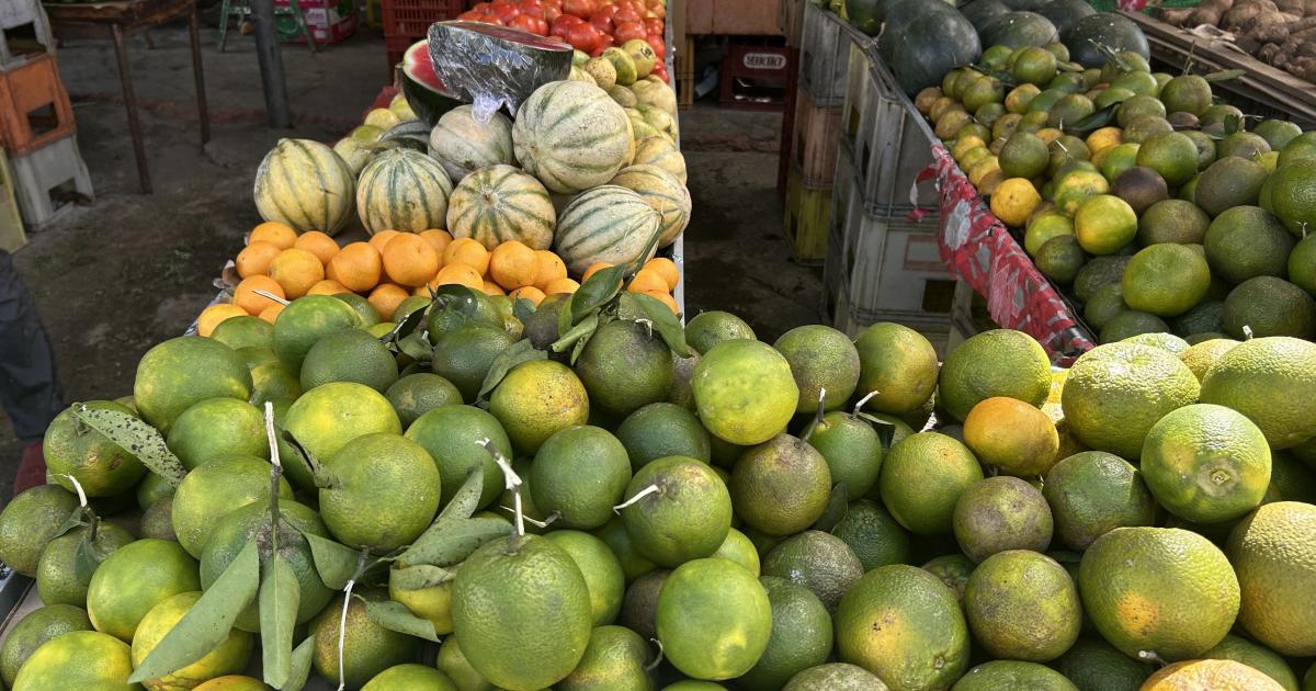     Pénurie d’agrumes en Martinique : une récolte compliquée

