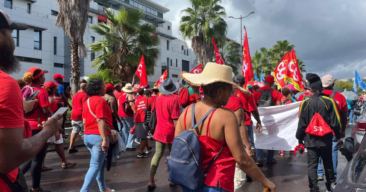     [EN IMAGES] Les syndicats ont manifesté à Fort-de-France pour la défense de la Fonction Publique 

