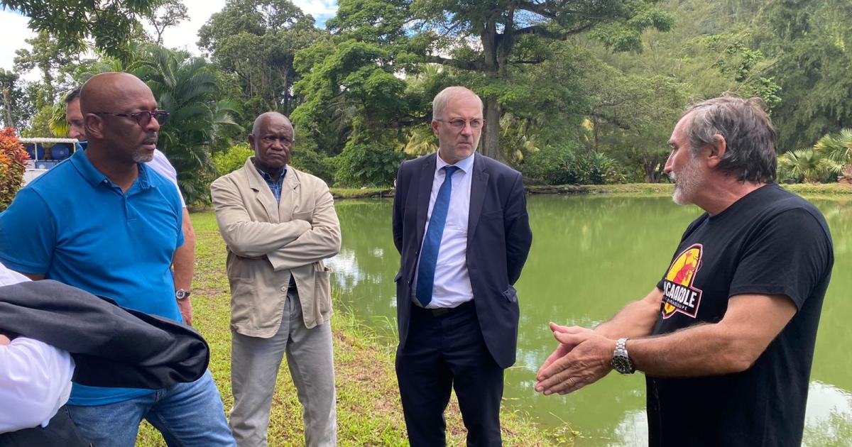     « La pêche a un avenir en Guadeloupe et je suis là pour le déterminer », Fabrice Loher

