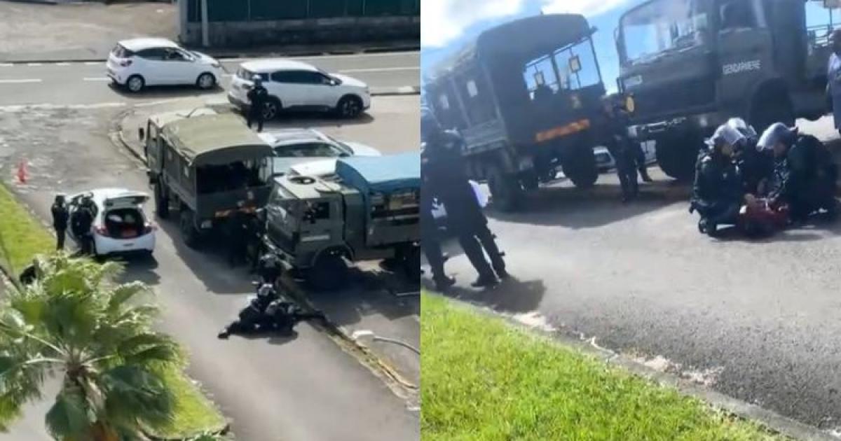     Opération d'envergure à la cité Ozanam : 150 gendarmes mobilisés, trois individus interpellés

