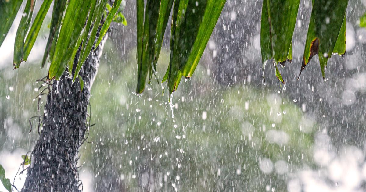     La Martinique en vigilance jaune pour fortes pluies et orages et pour vagues-submersion

