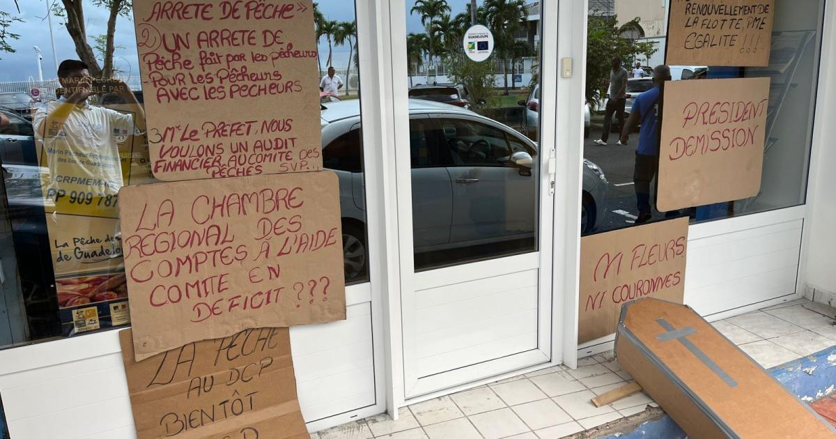     Inquiets du changement de réglementation, les marins-pêcheurs professionnels se mobilisent 

