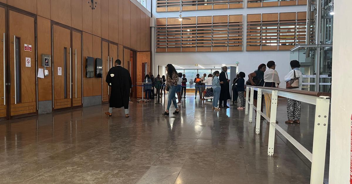     Mort de Mohana aux Assises : 17 ans de réclusion criminelle pour le beau-père

