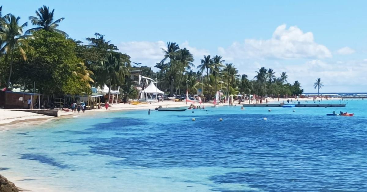     La baignade interdite sur la plage du bourg de Sainte-Anne

