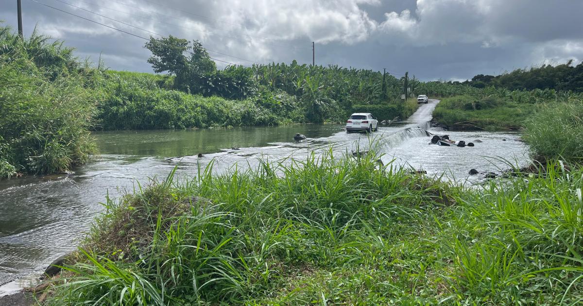     Leur voiture chute dans la rivière : deux femmes retrouvées mortes à Saint-Joseph

