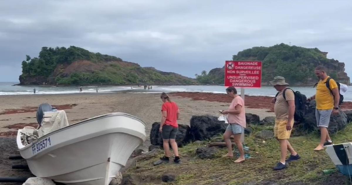     Les touristes canadiens de plus en plus nombreux en Martinique

