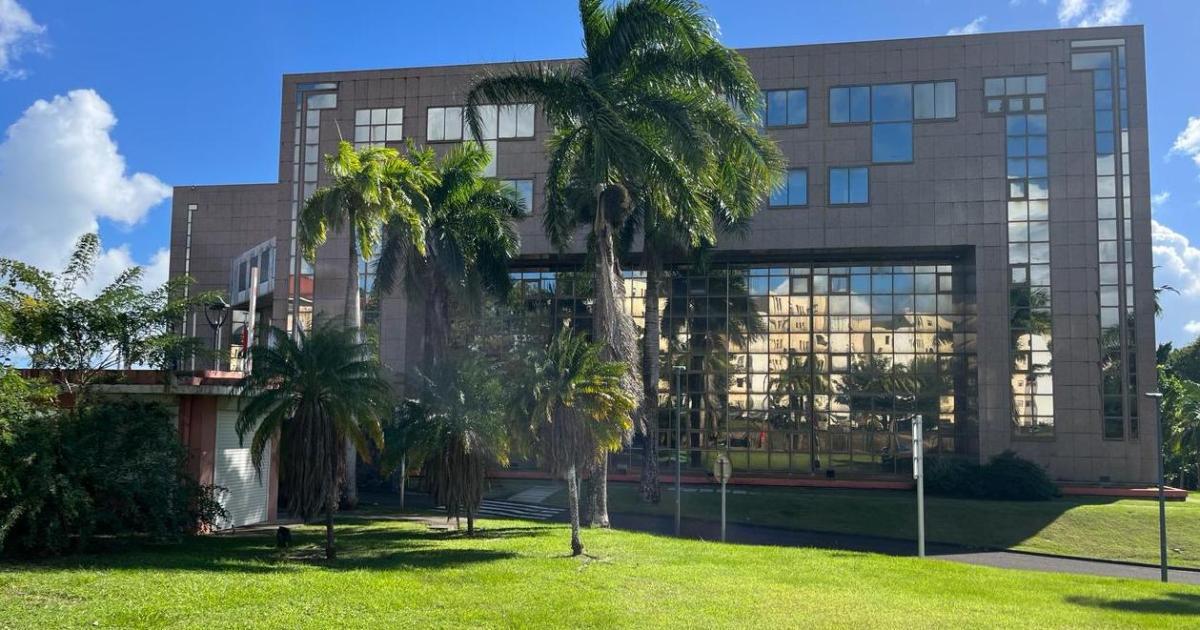     3,2 millions d’euros détournés à la CTM : des premières peines de prison prononcées ce lundi

