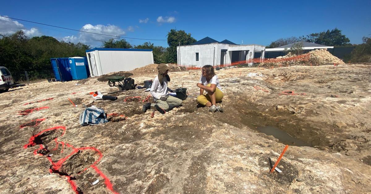     Découverte de vestiges de cases d’esclaves sur l'habitation de M. La Viele à Saint-François

