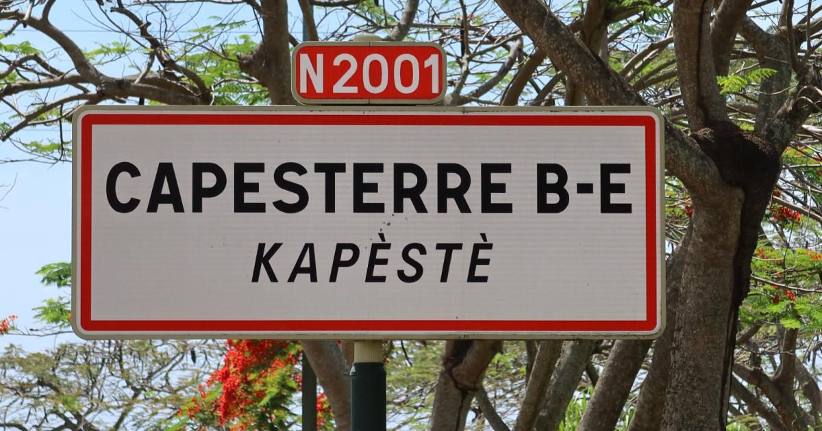     Municipales 2026 : une candidate agressée en plein discours à Capesterre-Belle-Eau

