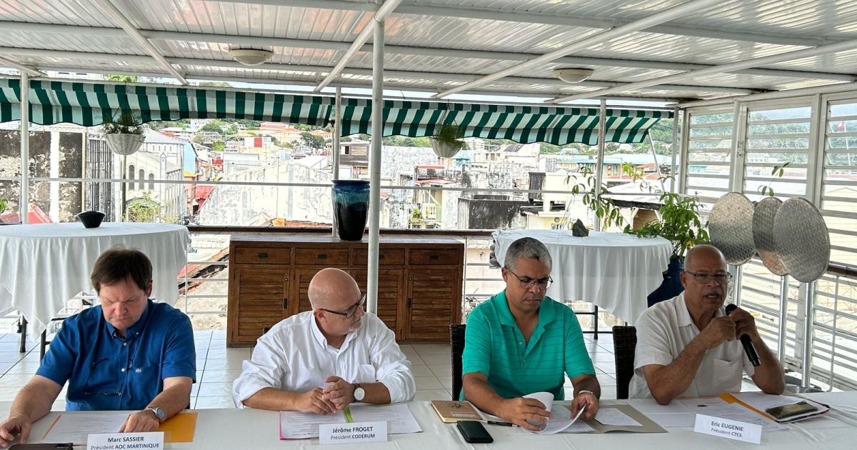     La filière Canne-Sucre-Rhum dresse un bilan en demi-teinte avant l'ouverture de la récolte

