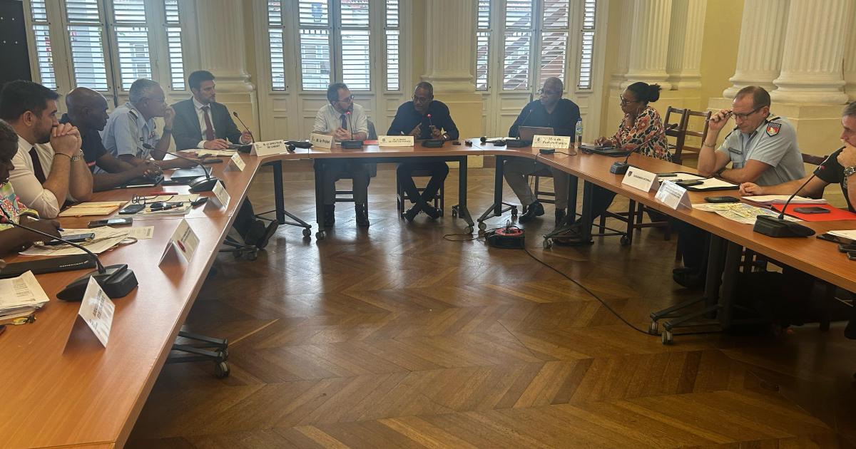     Près de 600 personnels de sécurité mobilisés pour le carnaval de Fort-de-France

