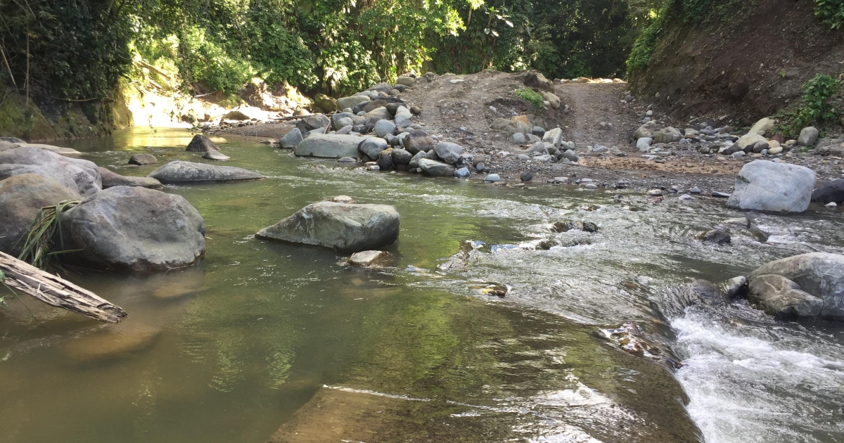     Pollution de l’eau : les pesticides toujours très présents en Martinique et en Guadeloupe

