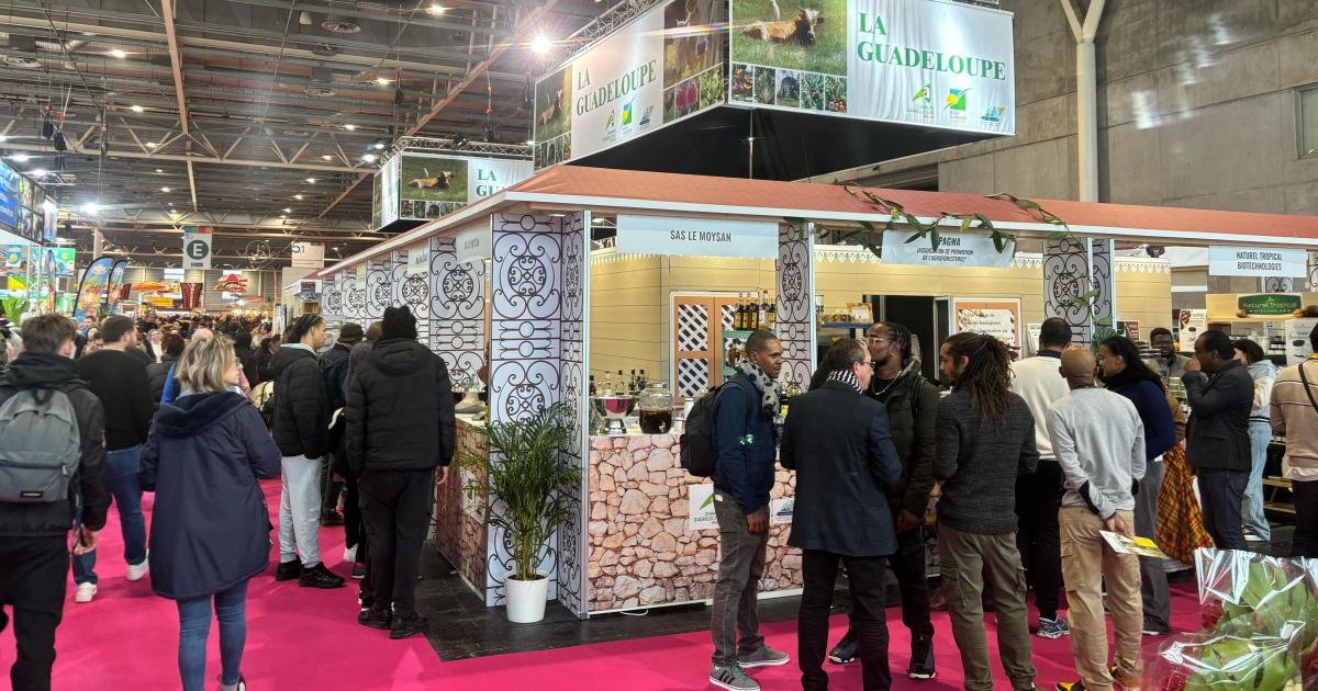     La Guadeloupe bien représentée au Salon de l’agriculture 2025

